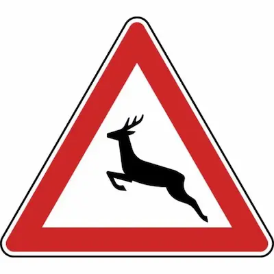 Verkehrszeichen „Achtung Wildwechsel“ mit schwarzem springendem Hirsch im roten Warndreieck.
